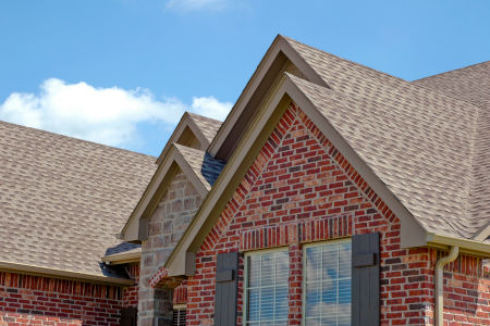 Roof Washing Professionals Protect Your Jackson Property